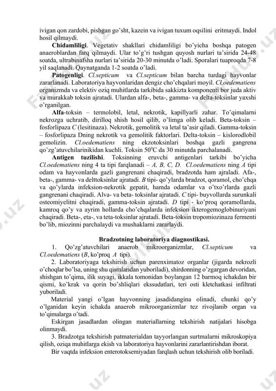 larini lizisga uchratadi. antigen tuzilishi. sl.septicum tarkibida o- va h- antigenlar ajratilgan. h-agglyutinasiya yordamida sl.septicum turi ichida 6 ta serologik guruh topilgan. sl.oedematiens – 1883 yilda novi o’lgan dengiz cho’chqasi jasadidan ajratgan. 1915 yilda veyenberg va sigenlar gazli gangrenaning qo’zg’atuvch isi sifatida uning etiologik rolini aniqlashgan. morfologiyasi va tinktorial xususiyatlari. yirik, polimorf, uchlari qayrilgan, bittadan ba’zan kalta zanjircha shaklida joylashadi. uzunligi 5-10 mkm, eni 0,8-1,5 mkm. grammusbat, kapsula hosil qilmaydi. sporalari oval, markazda yoki uchlarida joylashadi, odatda kulturalarda 24 soatdan keyin paydo bo’ladi. harakatchan (peritrix), lekin kislorod ta’sirida tezda harakati yo’qoladi. kultural xususiyatlari. sl.oedematiens- jiddiy anaeroblardan biri. optimal harorati 370c , ph-7,8. kitt-tarossi muhitida kuchli loyqalanish, gaz kam hosil bo’ladi. probirka pastida intensiv loyqalanadi, 18-24 soatdan keyin bulon tiniqlashib, cho’kma paydo bo’ladi. seyssler agarida kengish, ildizsimon, qatlamli, chetlari qirqilgandek, markazi bo’rtiq, qorong’ilashgan, kuchli gemoliz hosil qiladi. tik glyukozali agarda chuqur ekilganda linza, paxta bo’lagi, qor parchasi singari koloniyalar o’sadi. miyali …