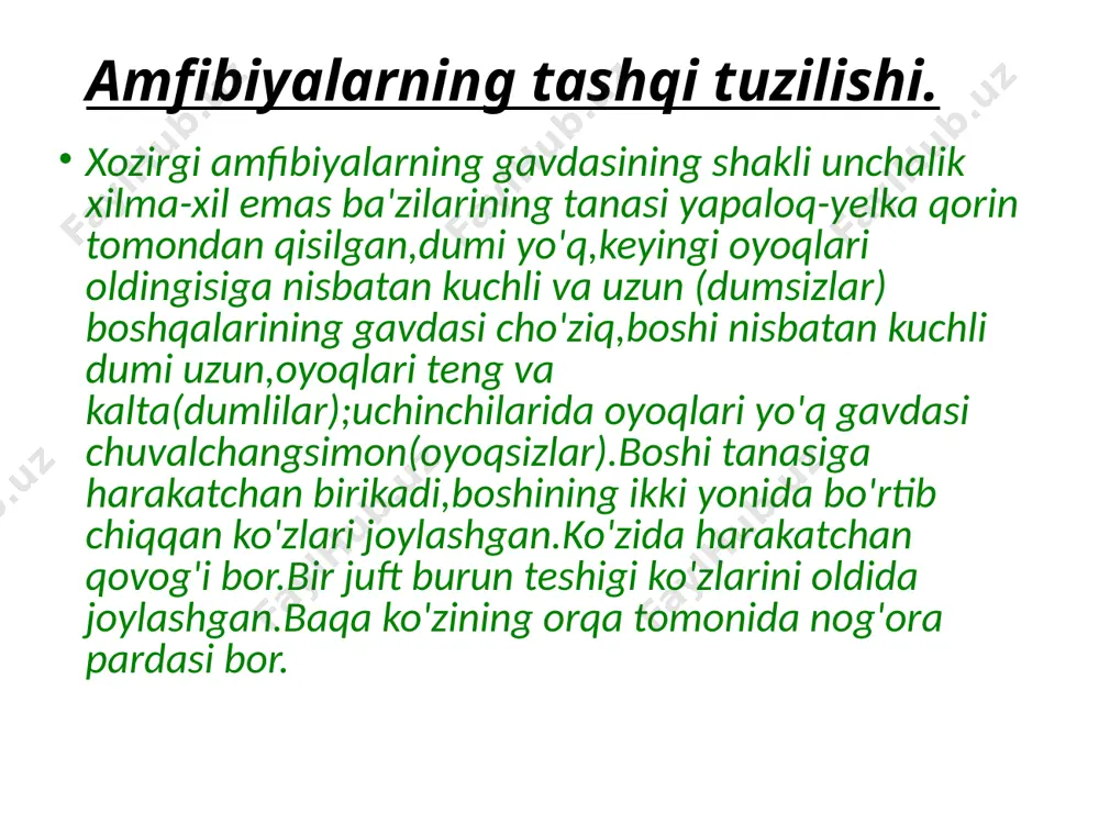 suvda hamda quruqlikda yashovchilar sinfi - Page 5