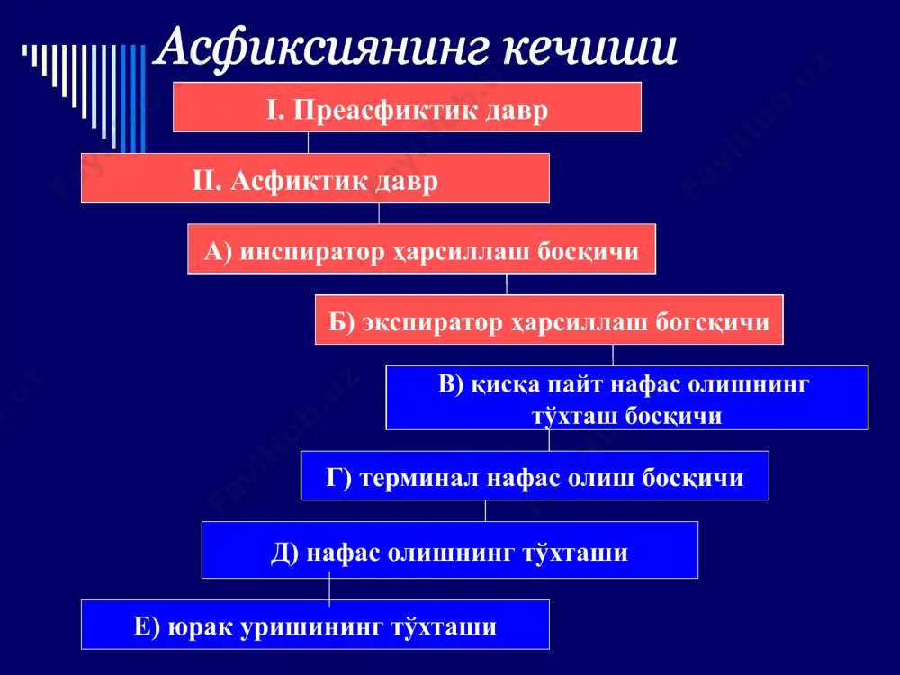 механик асфиксия. позицион асфиксия - Page 4
