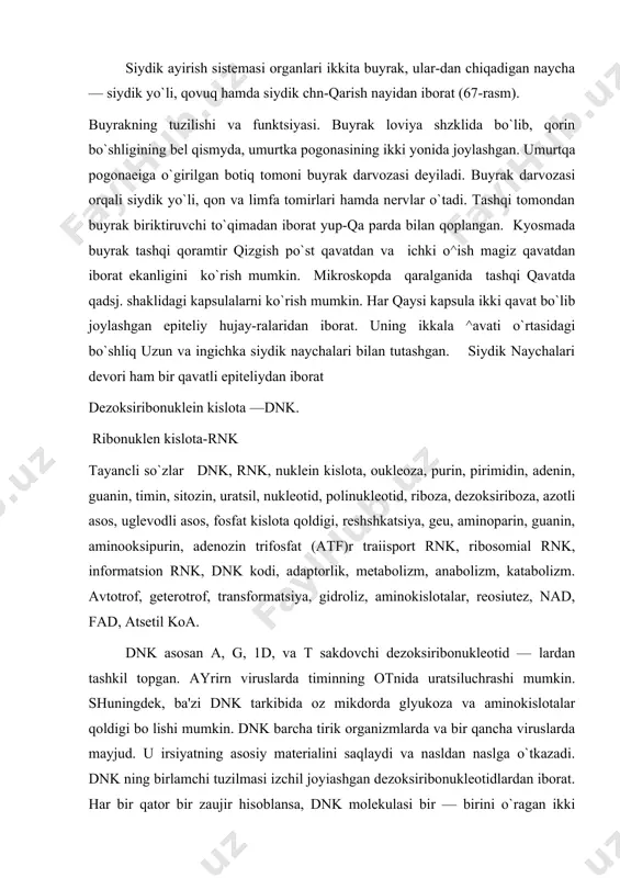 mumkin. shuningdek, ba'zi dnk tarkibida oz mikdorda glyukoza va aminokislotalar qoldigi bo lishi mumkin. dnk barcha tirik organizmlarda va bir qancha viruslarda mayjud. u irsiyatning asosiy materialini saqlaydi va nasldan naslga o`tkazadi. dnk ning birlamchi tuzilmasi izchil joyiashgan dezoksiribonukleotidlardan iborat. har bir qator bir zaujir hisoblansa, dnk molekulasi bir — birini o`ragan ikki zanjirdan iboral. uning yo'gxonligi 2 nm ga teng. qo`sh spiraldagi qogshni asoslarning orasi 0,34 nmr bitga tola aylanish uzunligi 3,4 nm ni lashkil etadi. u 1.0 ta qo`sh asosni o`z ichiga oladi. dnk ning molekulyar massasi juda katta butun holda ajratib olingan dnk ning molekulyar massasi yu'9 daltonga teng. qo`sh spiraldagi dnk molekuiasining diametri 1a (angstrem), uzunliga —197 daltongato`gyi keladi (1 dalton q 1 og b.). dnk ning bir mkm dagi uzunligi esa 2—106ga teng. nukleozidlarning fosforli efirlari nukleotidlar debataladi. dnk molekulasining uzuniigi 197 daiton. bakteriofag t —dnk sining molekulyar massasi 2,2 — 2,7 107, ultratsentrifugalanganda 2,3 …