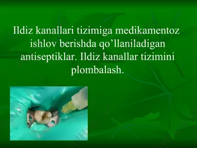 antiseptiklar — PPTX