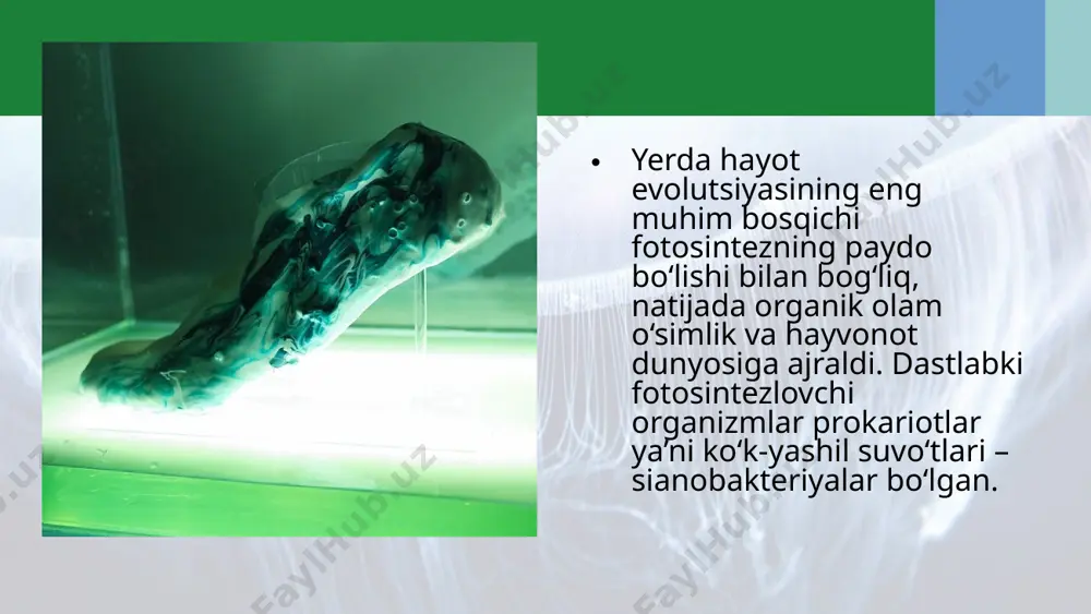 arxey, proterozoy eralaridagi hayot. 10 - sinf - Page 5
