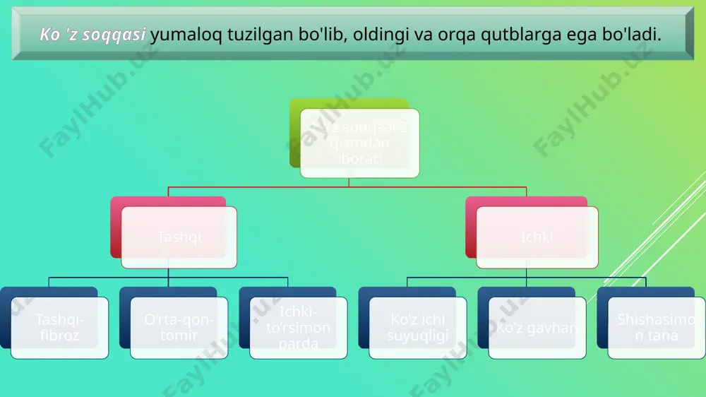 irlar ko’rish maydoni ko'zni harakatlantirmay turganda atrofdagi buyumlarni, ularning rangini ko'ra olish xususiyati (markaziy va chetki ko'rish yig'indisi) ko'zning har xil rangdagi buyumlarni ko'rish maydoni bir xil bo'lmaydi. oq rangni ko'rish maydoni eng katta, ko'k va sariq ranglarni ko'rish maydoni undan kichikroq, qizil va yashil ranglarni ko'rish maydoni yanada kichik bo'ladi. ko'zning har xil ranglarni ko'rish maydoni turlicha bo'lishi to'r qavatning turli qismlarida tayoqchasimon va kolbachasimon retseptorlar har xil joylashishiga bog'liq. ko'zning ko'rish maydoni chegarasi o’lchash asbobi perimetr ko'rish a'zosi funksiyasining buzilishi yaqindan ko’rish (miopiya) odamning ko'z soqqasi cho'ziqroq shaklda bo'ladi. shuning uchun uzoqdagi buyumlar tasviri ko'zning to'r pardasiga emas, balki undan oldinroqqa tushadi. natijada uzoqdagi buyumlarning tasviri aniq ko'rinmaydi. bu holat ko'z gavharining do'ngligi ortib ketishi oqibatida ham yuzaga kelishi mumkin. uzoqdan ko’rish (gipermetropiya) bunday odamlarda ko'z soqqasi qisqaroq bo'ladi. bunda yaqindagi buyumlarning tasviri ko'z to'r pardasiga emas, balki uning orqasiga tushadi. uzoqdan ko'rishning ikkinchi sababi ko'z gavhari do'ngligining …