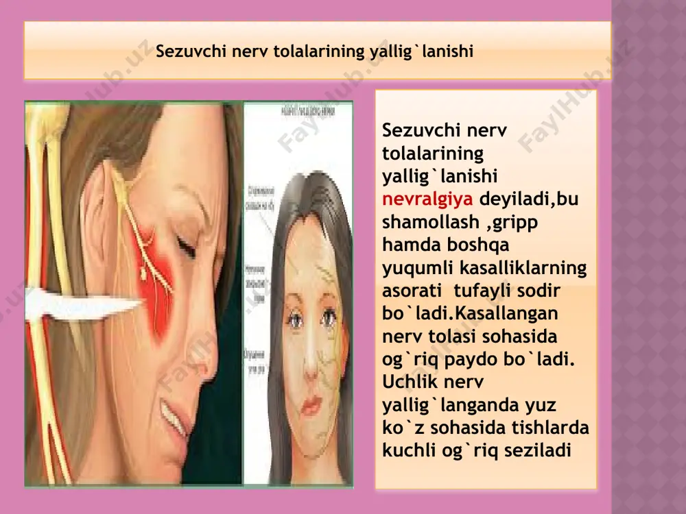 nerv sistemasi kasalliklari - Page 4