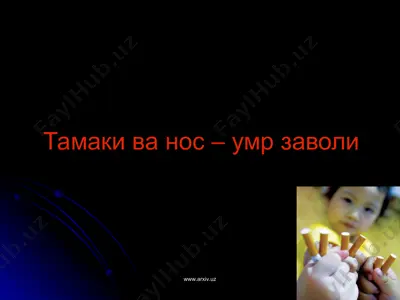 тамаки ва нос – умр заволи — PPT