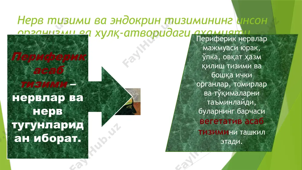 p aim.uz мавзу бўйича тест топшириқлари 1. тирик мавжудотларнинг эволюция натижасида ўзини такомиллаштириб бориши билан уларнинг организмларида ўз зиммасига ривожланиш, ҳулқ-атвор ва яратиш кабиларнинг бошқаруви вазифасини олган махсус organ bu… a) neyronlar b) nerv tizimi* v) endokrin tizimi g) sinaptik oraliq 2. instinkt deb nimaga aytiladi? a) u yoki bu biologik turga xos, tug’ma biologik shartlangan xulq-atvor.b) nerv hujayrasi, nerv tizimining asosiy tuzilmasi* v) инсон томонидан воқеликни акс эттиришнинг юксак даражаси g) organizmlarning o‘z belgi va hususiyatlarini nasldan-naslga o‘tkazish xossasidir. 3. organizmlarning o‘z belgi va hususiyatlarini nasldan-naslga o‘tkazish xossasi deganda nimani tushunasiz? a) neyronlar b) nerv tizimi v) endokrin tizimi g) irsiyat* aim.uz 9 avril 2005 эътиборингиз учун рахмат! aim.uz image1.jpeg image2.jpeg image3.jpeg image4.png image5.jpeg image6.jpeg image7.png image8.jpeg image10.jpeg image11.jpeg image12.jpeg image13.jpeg image14.jpeg image15.jpeg image16.jpeg image17.jpeg image18.jpeg