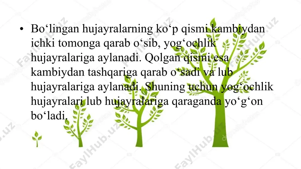 poyaning eniga o'sishi. 5 - sinf - Page 4