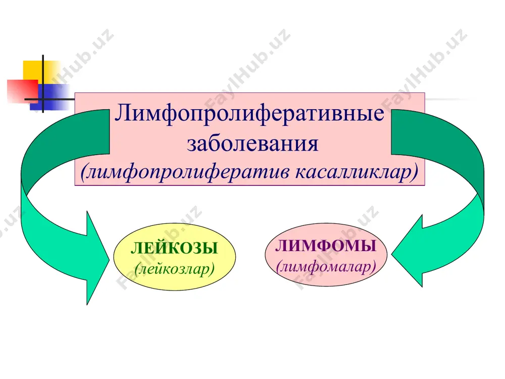 миелома malt-типидаги маргинал зонанинг экстранодал лимфомаси маргинал зона нодал лимфомаси (+/- моноцитоид в-лимфоцитлар) диффуз в-йирик хужайравий лимфома - медиастинал - суюклик ажралиши билан ассоциацияланган бирламчи лимфома/ беркитт лейкози воз-классификация лимфоидных опухолей, 2000 г. (бжсст буйича лимфоид усмалар таснифи, 2000й) т- и нк-клеточные опухоли из предшественников т-клеток: т-лимфобластная лимфома/лейкоз из клеток предшественников т-клеточные лимфомы из зрелых клеток: т-клеточный пролимфоцитарный лейкоз т-клеточный лейкоз из бгл агрессивный нк-клеточный лейкоз т-клеточная лимфома/лейкоз взрослых (htlv1+) экстранодальная нк/т-клеточная лимфома, назальный тип т-клеточная лимфома, ассоциированная с энтеропатией гепатолиенальная - т-клеточная лимфома т-клеточная панникулитоподобная лимфома подкожной клетчатки грибовидный микоз/синдром сезари т- ва нк-хужайравий усмалар т-хужайра утмишдошларидан: т-лимфобласт лимфома/лейкоз утмишдош хужайралардан ривожланувчи етук хужайралардан ривожланувчи т-хужайравий лимфомалар: т-хужайрали пролимфоцитар лейкоз; бгл дан ривожланучи т-хужайрали лейкоз; агрессив нк-хужайрали лейкоз; т-хужайрали лимфома/катталар лейкози (htlv1+); экстранодал нк/т-хужайрали лимфома, назал тип; энтеропатия билан ассоциацияланган т-хужайрали лимфома; гепатолиенал - т-хужайрали лимфома; тери ости клетчаткасининг панникулитсимон т-хужайрали лимфомаси; замбуругсимон микоз/сезари синдроми. воз-классификация лимфоидных опухолей, 2000 …