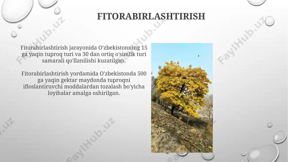 bekistonning cho'l hududlarida 15 dan ortiq halofit o'simlik turi, jumladan, saxauli va tamariks turlari fitormediatsiya jarayonlarida samarali qo'llanilishi mumkin. fitovolatilizatsiya fitovolatilizatsiya samaradorligi o‘simlik turiga, ifloslanish darajasiga va atrof-muhit omillariga, jumladan, harorat va namlikka bog‘liq bo‘lib, 70% gacha yetishi mumkin. uzbekistan sharoitida fitovolatilizatsiya usuli bilan 1 gektar maydonda yillik 50-100 kg gacha bo‘lgan organik ifloslantiruvchi moddalarni zararsizlantirish mumkin. fitostabilizatsiya fitostabilizatsiya texnologiyasining iqtisodiy samaradorligi, 1 gektar yer maydoniga sarflanadigan xarajatlarni hisobga olgan holda, kimyoviy usullar bilan solishtirganda 2-3 baravar kamroq boʻlishi mumkin. fitostabilizatsiya jarayonida 5-10 yil ichida tuproqdagi ogʻir metallarning harakatchanligini 30-50% ga kamaytirish mumkin, bu esa atrof-muhitga taʼsirini sezilarli darajada pasaytiradi. e'tiboringiz uchun rahmat @taqdimot_robot image3.png image4.jpg image5.jpg image6.jpg image7.jpg image8.jpg image9.jpg image10.jpg image11.jpg image12.jpg image13.jpg image14.jpg image15.jpg image16.jpg image17.jpg image18.jpg image19.jpg image20.jpg image1.png