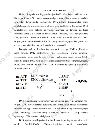 dnk replikatsiyasi — DOCX
