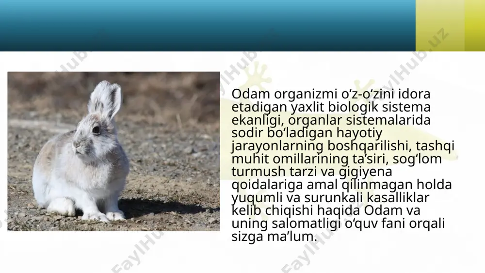 hayotning organizm darajasi va uning o‘ziga xos jihatlari. 10 - sinf - Page 5
