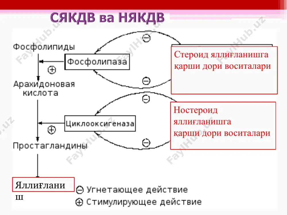 , люмбаго буйрак, жигар коликаси няқдв қўллашга кўрсатма турли этиологияли оғриқ синдроми – бош ва тиш оғриши, операциядан кейинги оғриқлар тана ҳароратини кўтарилиши - 38,5°с дан юқори бўлиши). артериал тромбозларни олдини олиш няқдв қўллашга кўрсатма крем гель мелоксикам фармакологик таъсири: няқдв, селектив цог-2 ингибитори яллиғланишга қарши, оғриқ қолдирувчи ва ҳарорат туширувчи таъсир кўрсатади. мелоксикам цог-2, нисбатан активлиги юқори, шу сабабли оит берадиган ножўя таъсирлари кам (цог -1) кам таъсир кўрсатади. целекоксиб-цог-“2ни цог-1га нисбатан 100 марта кучлироқ блоклайди. митга нохуш таъсир кўрсатмайди. тромбоцитлар агрегациясини ўзартирмайди. амидопирин (пирамидон) (amidopyrinum порошок; табл. 0, 25). кучли анальгетик ва хароратни тушурувчи таъсир кўрсатади. юқори токсик таъсир кўрсатади, қон яратиш тизими фаолиятига тормозловчи таъсир кўрсатади. шу сабабли ҳозирги кунда амалий тиббиётда деярли қўлланилмайди. анальгин (analginum; порошок; в табл. по 0, 5; в амп. по 1 и 2 мл - 25% и 50% раствор). анальгин кимёвий ва фармакологик амидопринга яқин. анальгин тана ҳароратини тез тушуради. индометацин ностероид …