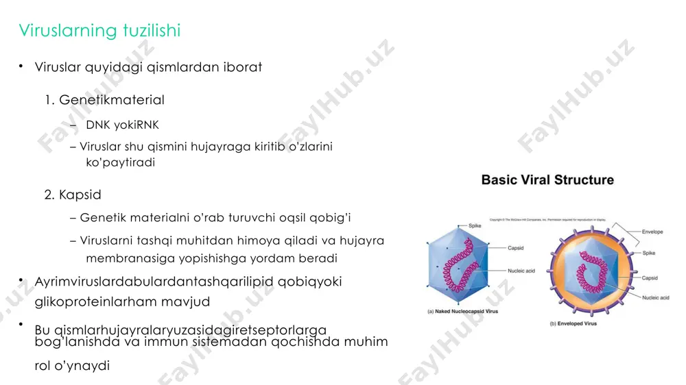 riyig’iladivahujayradan chiqadi virus dnk sihujayraninggenetikmaterialigabirikadi 5. yig’ilishvachiqish 4. transkripsiyavatranslyatsiya klassifikatsiya va ta’sir mexanizmi ●bu dorilarasosanoiv infeksiyasinidavolash 5) fuziya ingibitorlari 6)ccrs antogonistlari uchun foydalaniladi ● klassifikatsiyasi virusni hujayra ichiga kirib ko’payishining bosqichlariga ta’sir qilishiga qarab qilinadi: 1) nukelozid teskari transkriptaza ingibitorlari 2) non-nukelozid teskari transkriptaza ingibitorlari 3) proteaza ingibitorlari 4) integraza ingibitorlari 1. nukleotid teskari transkriptaza ingibitorlari vakillari • • • • zidovudin abacavir lamivudin virus rnk sidnk gaaylanayotganda nukleotidlar qo’shilib teskari transkriptazani ingibirlaydi ta’sir mexanizmi 2. non-nukleozidteskaritranskriptaza ingibitorlari vakillari ta’sir mexanizmi • • • efavirenz nevirapin teskari transkriptaza fermentini to’g’ridan-to’gri ingibirlaydi 3. proteazaingibitorlari vakillari ta’sir mexanizmi • • • ritonavir lopinavir virus proteazasiniingibirlab, yangivirus yig’ilishini to’xtatadi 4. integratsiyaingibitorlari vakillari • • • raltegravir elvitegravil virus dnksinihujayraninggenetikmaterialiga integratsiyalanishini ingibirlaydi ta’sir mexanizmi 5. fuziyaingibitorlari vakili ta’sir mexanizmi • • • enfuvirtid virusni hujayra membranasiga birikishini va kirishini to’xtatadi bu ta’sirvirus tashqiqoplamidagi glikoproteingabog’lanib, unihujayra yuzasidagi retseptorga ta’sirini ingibirlash orqali kelib chiqadi 6. ccrs …