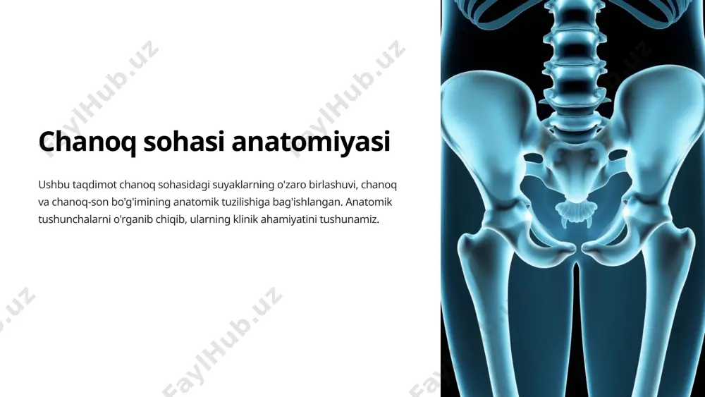 oporoz va boshqa kasalliklar chanoq sohasi suyaklari va bo'g'imlariga ta'sir qilishi mumkin. 6 chanoq sohasini o'rganish usullari 1 rentgenografiya chanoq sohasi suyaklarining tuzilishini tasvirlash uchun ishlatiladi. 2 kompyuter tomografiyasi (kt) chanoq sohasi suyaklarining detallarini batafsil ko'rsatadi va yumshoq to'qimalarni ham o'rganish imkonini beradi. 3 magnit-rezonans tomografiyasi (mrt) yumshoq to'qimalarning holatini, masalan, ligamentlar va tendonlarning holatini aniqlashga imkon beradi. 7 xulosa chanoq sohasi inson tanasining muhim qismidir. uning tuzilishi va funksiyalari homiladorlik, harakatlanish va ichki organlarni himoya qilishda muhim rol o'ynaydi. chanoq sohasi suyaklari va bo'g'imlarini o'rganish, ularning klinik ahamiyatini tushunish shifokorlar uchun muhimdir. 8 image1.png image2.jpeg image3.png image4.png image5.png image6.png image7.png image8.png image9.png image10.png image11.png image12.png image13.png image14.png