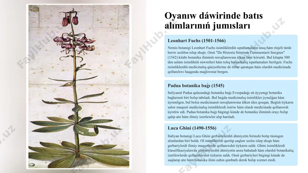 iyalıq sistemalardıń rawajlanıwı darvinniń evolyuciya teoriyası darvinniń evolyuciya teoriyası botanikaǵa sezilerlik tásir etti. ósimliklerdiń klassifikaciyası endi tek ǵana sırtqı belgilerge emes, bálki olardıń evolyuciyalıq tariyxına tiykarlanatuǵın boldı. bul, ásirese, filogenetik klassifikasiyalardıń rawajlanıwına alıp keldi, bunda ósimliklerdiń ata-babaları menen baylanısları esapqa alındı. jańa metodlardıń payda bolıwı mikroskopiya ósimlik hújireleriniń quramın tereńirek úyreniwge múmkinshilik berdi, al ximiya ósimliklerdegi ximiyalıq birikpelerdi analizlewge járdem berdi. genetika bolsa ósimliklerdiń násillik ózgeriwsheńligin hám adaptaciyaların úyreniwge jol ashtı. usı metodlardıń barlıǵı birgelikte taksonomiyanı jańa ilimiy tiykarǵa iye etti. molekulyarlıq genetika dnk analizleri ósimliklerdiń evolyuciyalıq baylanısların anıqlawda revolyuciyalıq ózgeris jasattı. ribosomal dnk (rdnk) hám plastid dnk sıyaqlı genlerdiń analizleri túrli ósimlik toparları arasındaǵı filogenetik baylanıslardı anıqlawda qollanıldı. bul maǵlıwmatlar tiykarında islep shıǵılǵan jańa filogenetik sistemalar aldınǵı klassifikasiyalardı anıqlawǵa járdem berdi hám taksonomiyanıń rawajlanıwında zárúrli qádem boldı. 7 ózbekstan florasın úyreniw hám ilimpazlardıń úlesi 1 akademik a. vvedenskiy akademik a. vvedenskiydiń "ózbekstan florası" (flora uzbekistanica) atlı dóretiwi respublikamızdıń ósimlikler …