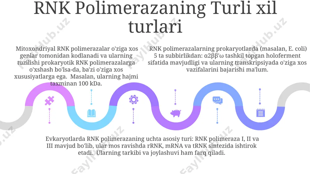rnk polimerazaning tuzilishi - Page 5
