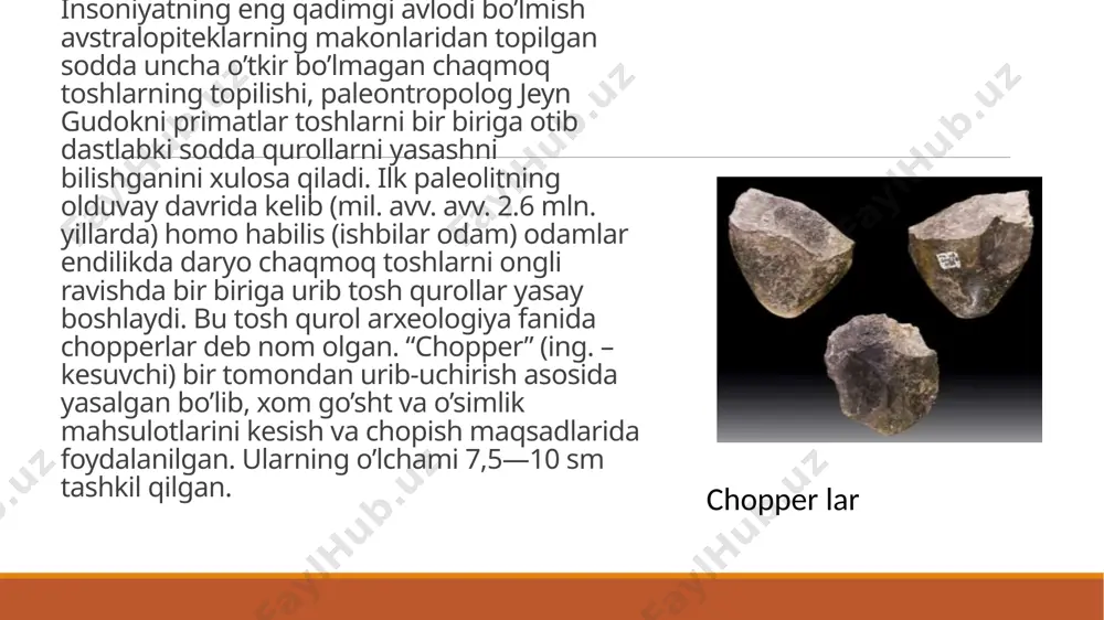 langan bo‘lib, u quyidagi asosiy bosqichlardan iborat: oldindan tayyorgarlik va joylashuvni aniqlash kartografik va geologik tahlil: hududning xaritalari va geologik tuzilishi o‘rganiladi. arxeologik tadqiqotlar: hududda oldin amalga oshirilgan tadqiqotlar tahlil qilinadi. geofizik usullar: yer osti tuzilishini aniqlash uchun georadar, magnitometr yoki lidar kabi texnologiyalar qo‘llaniladi. tosh davri insoniyatning eng uzoq davom etgan asri bo’lib, bugungi kunda bu davrdan qolgan arxeologik yodgorliklar turi xilma-xillikni tashkil etadi. ma’lumki, tosh davrining dastlabki davrlarida insoniyat tabiiy tosh chaylalar, g’orlarni makon tutgan. buning asosiy sabablari iqlimning sovuqligi(muzlik asri), ovchilik va termachilik mashg’uloti va insoniyatning antropogenez jarayoni davri bo’lganligidir. arxeologiyada makon — tosh va jez davrida yashagan ibtidoiy odamlarning mavsumiy, vaqtinchalik boshpanasi yoki davriy turar joyi tushuniladi. kadimgi tosh davri makonlari g’or va ungurlarda (teshiktosh, obirahmat va b.) buloq bo’ylarida (ko’lbuloq va b.) joylashgan bo’lib, ular ajdodlarimizning uzok, muddatli boshpanasi hisoblanadi. arxeologiya fanida qadimgi tosh davri makonlari ochiq va yopiq turlarga bo’lib o’rganiladi. ochiq turdagi makonlar …