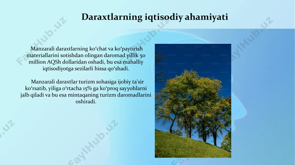 shimoliy amerika mintaqalarida osadigan manzarali daraxtlar - Page 5