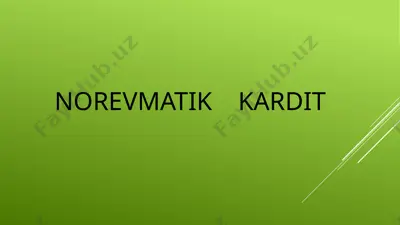 norevmatikkardit — PPTX