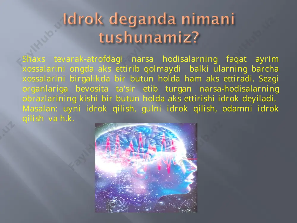idrok haqida tushuncha - Page 3