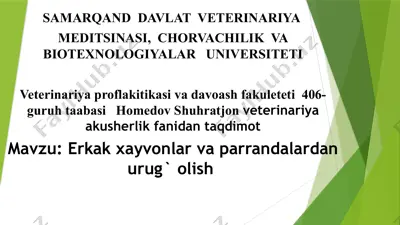 erkak xayvonlar va parrandalardan urug` olish — PPTX