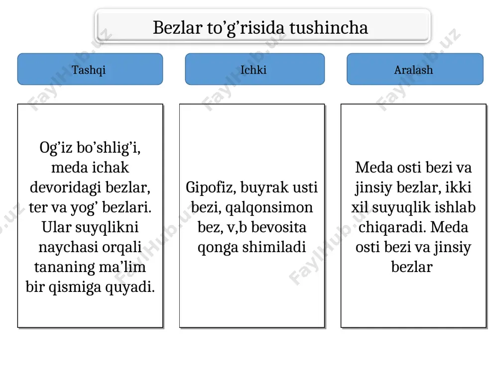 diafragmaga o’tish joyida meda-hazm kanalining eng kangaygan qismi qorin bo’sh’lig’ini yuqori qismida joylashgan. koproq qismi cha qovurg’a ostida joylashadi. noksimon. medaning oldingi va orqa devorlari b/b yuqorida kichk pasda katta egriliklar joylashgan. kirsh-cardiya 11 ko’krak qarshisda turadi. chiqsh qismi 1-bel umrtqasi roparasida 12 barmoqqa qo’shilib ketadi. chiqsh qismi o’zi 2 ga ajralgan, 1-boshlanishi g’orcha deyilsa davomi kanal bo’lagi deyiladi. yuqorida-jigar, chap bo’lagida diafragma gumbazi, pastki kondalang chambar ichak. oldingi devori qorin devoriga. orqa devori meda osti bezi, chap buyrakka qisman taloqqa tegib turadi. meda devori seroz parda, seroz osti qavati, muskul qavat, shillq shillq qavat, shilliq osti qavatdan tuzulgan. muskul qavat 3 yo’nalishda. 1-tashqi uzn, 2-o’rta halqasimon, 3-ichki qiyshq joylashgan. halqasimon chiqvchi qismida qisuvchi (sfinkter) muskulga aylanadi tubi va tanasi joylashgan bezlar xlorid kislata suyuqligini, qolgan bezlar pepsin shlliq suyqlik ishlab chiqaradi. medada ovqat 4-soatdan 10 soatgacha saqlanadi. bu davrda muskullar yordamida mexanik parchalandi. 2 xil qisqarish (tonik perstatik) uzoq …