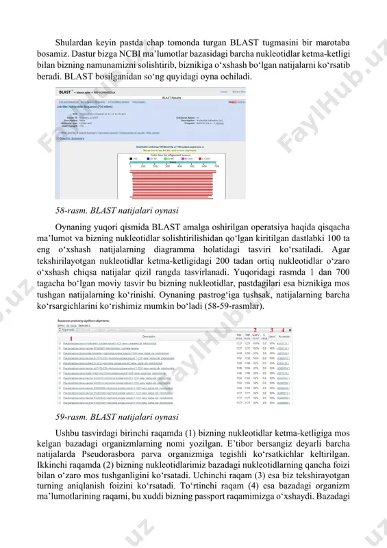 pyuter ekranida quyidagi oyna ochiladi. nukleotidlarimizni birinchi yuqoridagi qizil ko‘rsatgichda ko‘rsatilgan joyga ko‘chirib olib qo‘yamiz (ctrl+c va ctrl+v). shundan so‘ng ikkinchi ko‘rsatkich ko‘rsatayotgan joy belgilanganligini tekshiramiz. bu nuqta siz yuklagan nukleotidlarni qaysi ma’lumotlar ba’zasi bilan solishtirish kerakligini aniqlashtirish uchun kerak. u yerda ayni vaqtda human genomic + transcript – odam genomi va mouse genomic + transcript – sichqon genomi ma’lumotlar bazasi ko‘rsatilmoqda. biz others – boshqalar degan bo‘limini tanladik. oxirgi ko‘rsatkich highly similar sequences – “juda ham o‘xshash ketma-ketlik” degan tugma tanlanganligini ko‘rsatmoqda. bu bizga biz tekshirayotgan nukleotidlar ketma-ketligiga eng yaqin natijani ko‘rsatib berishi uchun kerak. 57-rasm. nucleotide blast tugmasining ishlash prinspi shulardan keyin pastda chap tomonda turgan blast tugmasini bir marotaba bosamiz. dastur bizga ncbi ma’lumotlar bazasidagi barcha nukleotidlar ketma-ketligi bilan bizning namunamizni solishtirib, biznikiga o‘xshash bo‘lgan natijalarni ko‘rsatib beradi. blast bosilganidan so‘ng quyidagi oyna ochiladi. 58-rasm. blast natijalari oynasi oynaning yuqori qismida blast amalga oshirilgan operatsiya haqida qisqacha …