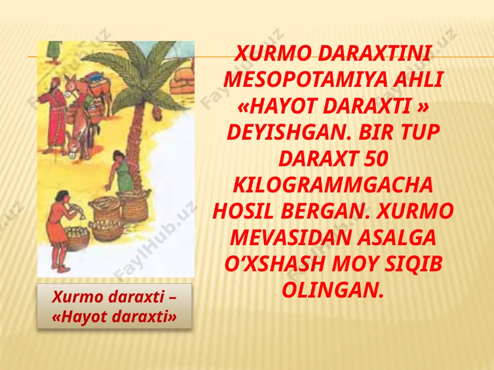 mesopotamiya civilizatsiyalari - Page 4