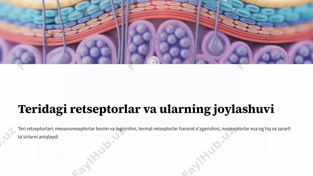 retsepsiya hamda retseptor hujayralarning tuzilishi va faoliyati - Page 4