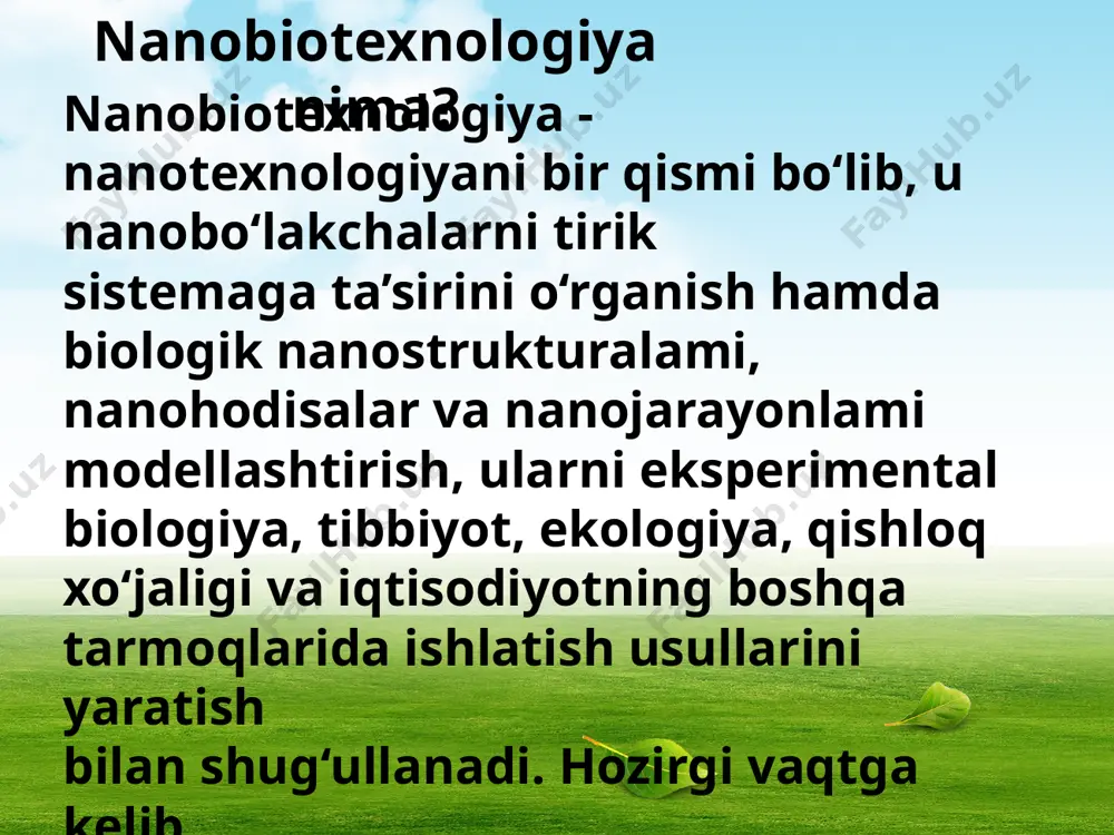 larini olib borishlari uchun juda kichik. ikkinchidan, ulami ichiga moddalar almashinuvi va ko‘payishni ta’minlovchi molekulalar va strukturalar sig‘maydi. ammo 1990-yillami boshlarida finlyandiyalik olim o.kayanderni va uning tarafdorlarini nanobakteriyalar borligi haqidagi fikrlari, o‘zini paleontologik tasdig'ini topgan. aqsh ni texas universiteti geolog olimi r.folk rim atrofidagi issiq manbalaming mineral qoldiqlarini kuzatish jarayonida, elektron mikroskopda o. kayander topgan strukturaga o‘xshagan jonli struktura borligini kuzatgan. keyinroq, avstriyalik geologlar dengiz sathidan 3,5 km pastda kontinentni g‘arbiy qirg‘og‘idagi qumlami kuzata borib, uning sirtida miniaturali qismlardan iborat bo‘lgan, uzunligi 20 dan 128 nm gacha bo'lgan ipsimon jonivorlarni kuzatganlar. bu struktura tashqi ko‘rinishi bo‘yicha zamburug‘ iplarini eslatgan. avstriyalik tadqiqotchilar, mikroblarga o‘xshatib o‘zlari kuzatgan strukturani «nanobam» lar deb ataganlar. nanobakteriyalami o‘lchami shunchalik darajada kichik bo'lganki, ularni ichidan hatto dnkni bir necha molekulalariga ham joy topish amri mahol bo‘lgan. tirik hujayralami boshqa strukturalari haqida gapirmasa ham bo'ladi. shuning uchun olimlar, nanobamlar barcha boshqa organizmlardan nafaqat o‘lchamlari, balki faoliyat ko‘rsatish mohiyati …