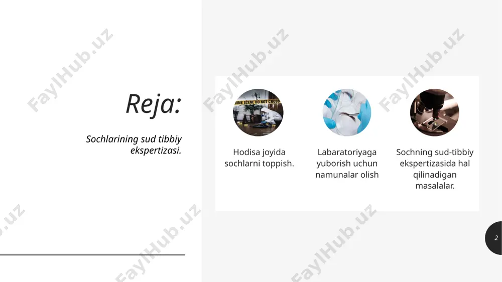 y mansubligini aniqlash. sochning regional mansubligini aniqlash. soch o‘zi tushganmi yoki yulinganmi? sochga qanday ta’sir ko‘rsatilgan? sochning muayyan shaxsga mansubligini aniqlash. sud tibbiyoti laboratoriyasiga yuborilgan obyekt sochmi yoki soch emasmi degan savolning yechilishi sochning morfologik tuzilipshni aniqlashga asoslangan. 8 tekshirilayotgan tola sochmi? 9 soch teri ichidagi ildiz va tashqi sterjen qismlaridan iborat bo’ladi. sochning sterjen qismida kutikula, po‘stloq va mag’iz qavatlari (o‘zagi) farqlanadi. eng ustki qavati kutikula cherepitsasimon joylashgan yassi hujayralidir. ikkinchi po’stloq qavati dugsimon hujayralardan iborat. uchinchi qavat esa sochning o’zagi ya’ni mag’zi hisoblanadi. mazkur qavatlarning mavjudligi obyektning shubsasiz soch ekani belgisidir. 10 soch odamga tegishlimi yoki hayvongami? sochning hayvonga yoki insonga mansubligi mikroskop orqali aniqlanadi va uning tuzilish xususiyatiga asoslangan. 12 xususiyatlar odam sochi hayvon sochi sochining tashqi qavati optik chekkasi mayda tishchali, bir-biriga yaqin joylashgan, sochning o‘qiga mahkam yopishgan yirik tishchali, ba’zan arrasimon, tishchalari asosan bir-biridan uzoqlashgan kutikula izlari notekis, to’iqinsim onchiziqlari bir-biriga yaqin joylashgan turli shakldagi …