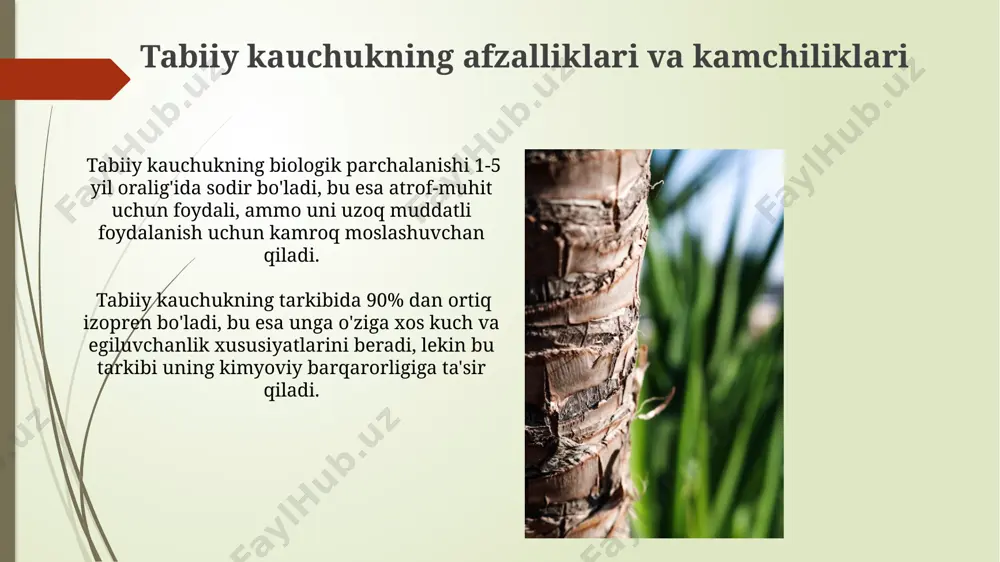 kauchok - Page 4