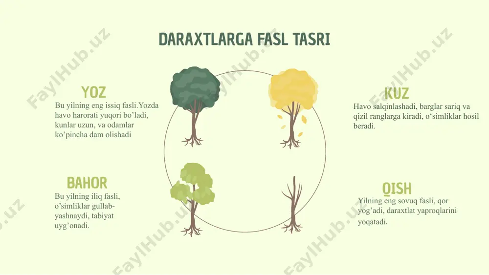 daraxtlar va ularning turlari - Page 5