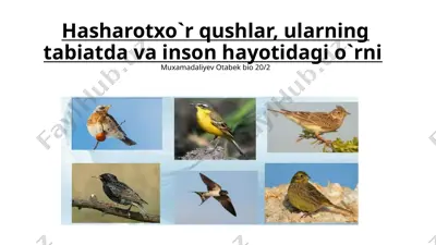 hasharotxo`rqushlar — PPTX