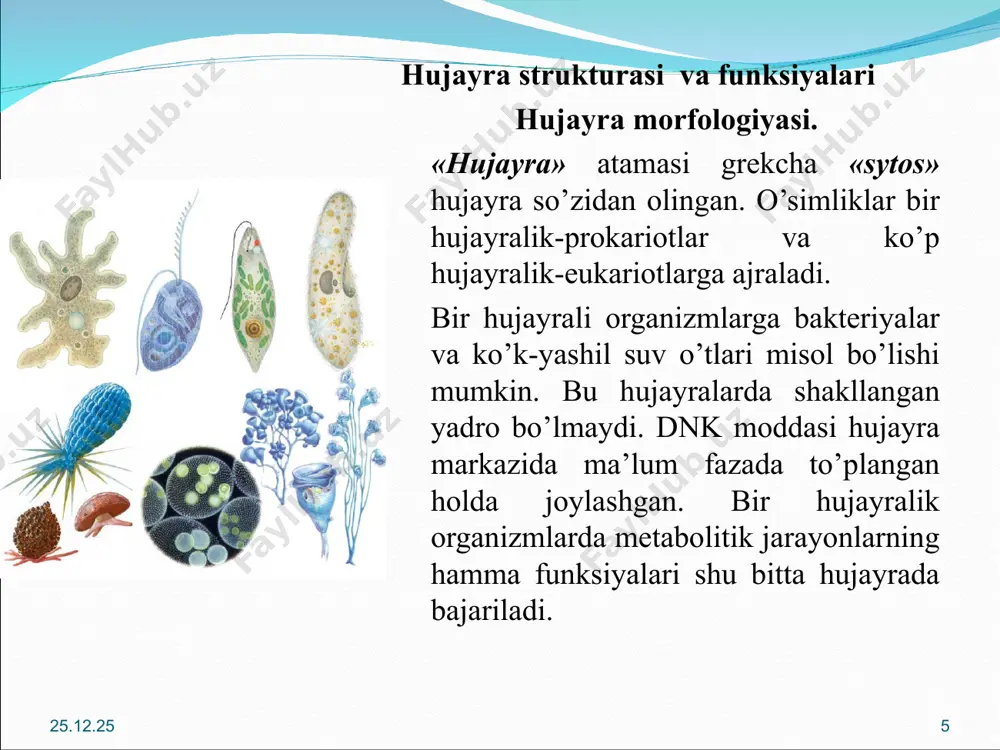 plastidalar. o’simlik hujayralari plastidalarning bo’lishi bilan hayvon hujayralaridan farq qiladi. plastida–grekcha “plastikos” so’zidan olingan bo’lib, shakllangan degan ma’noni bildiradi. sitoplazmada plastidalar o’zlarining qo’shqavat membranalari bilan ajralib turadilar. ular dumaloq yoki oval shaklda. yuksak o’simliklarning barg hujayralarida 20-50 donagacha uchraydi. plastidalar rangsiz (protoplastlar, leykoplastlar) yoki rangli (xloroplastlar, xromoplastlar) bo’ladi. o’simlik hujayrasida uch xil plastidalar mavjud: xloroplastlar, xromoplastlar va leykoplastlar. хloroplastning tuzilishi mitoxondriya tuzilishi * diqqatning vaqtga nisbatan o’zgarishi 100% 50% 0 20 40 60 80 (daqiqa) ko’rgazmali namoyish amaliy mashq bajarish turli metodlardan foydalanilganda faqat ma’ruza o’tilganda * * natija / xulosa umumlashtirish 1-hujayraning kashf etilish tarixi 2 –hujayra organoidlari, funksiyalari 3 –hujayra tiriklikning asosi ekanligi qutlash mavzu maqsad motivasiya ma’ruza tuzilmasi kirish qismi yakuniy qism asosiy qism * * * ббб жадвали bbb jadvali bilaman, bilishni xohlayman, bildim matn (mavzu, bo‘lim) bo‘yicha tadqiqot ishlari olib borish imkonini beradi tizimli mulohaza qilish, tarkibga ajratish ko‘nikmalarini beradi. bbb jadvalini tuzish qoidalari bilan …
