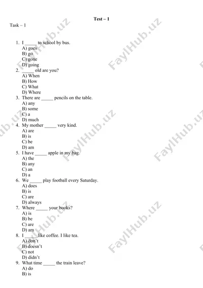 english grammar test - beginner level — DOCX