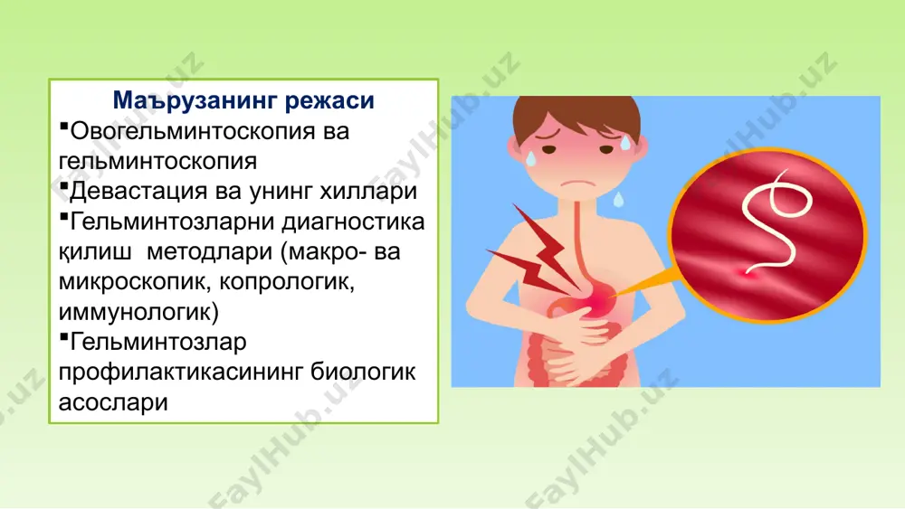оз, ичак протозоозалари (лямблиоз, криптоспоридиоз, изоспороз)ни аниқлаш имконини беради. morphology of metagonimus spp. infecting humans. (a) metagonimus yokogawai, (b) metagonimus takahashii, and (c) metagonimus miyatai. синф:sporozoasida, кенжа синф: coccidiasina, уруғ: cryptosporidium микроскопик усуллари овогельминтоскопия натив суркаш усули чўктириш усули: телеман усули флотация (қалқиб чиқиш) усули фюллеборн усули калантарян усули чўктириш усули: горячев усули като усули (целлофан билан қалин суртма усули) натив суркаш усули. бу энг оддий усул бўлиб, лекин кам натижа беради. бир томчи глицериннинг 50 % ли сувдаги эритмасини буюм ойнасига томизилади, сўнг нўхат катталигидаги ахлатни ёғоч таёқча билан олиб глицерин эритмасига яхшилаб аралаштирилади. ахлат суркалган буюм ойнаси қоплагич ойнача билан ёпиб, микроскоп остида текширилади. като усули (целлофан билан қалин суртма усули) усул принципи: гельминт тухумлари нажасдан қалин суртма олиб текширилади авввал целофанга ишлов берилади: фенол, дистилланган сув+глицерин+малахит билан ва малахит яшили билан бўялган тухум текширилади чўктириш усули (телеман усули). ахлатнинг беш жойидан нўхат катталигида намуна олиниб пробиркага солинади, …