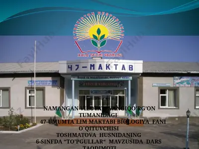 'to'pgullar' mavzusida biologiya darsi taqdimoti — PPTX