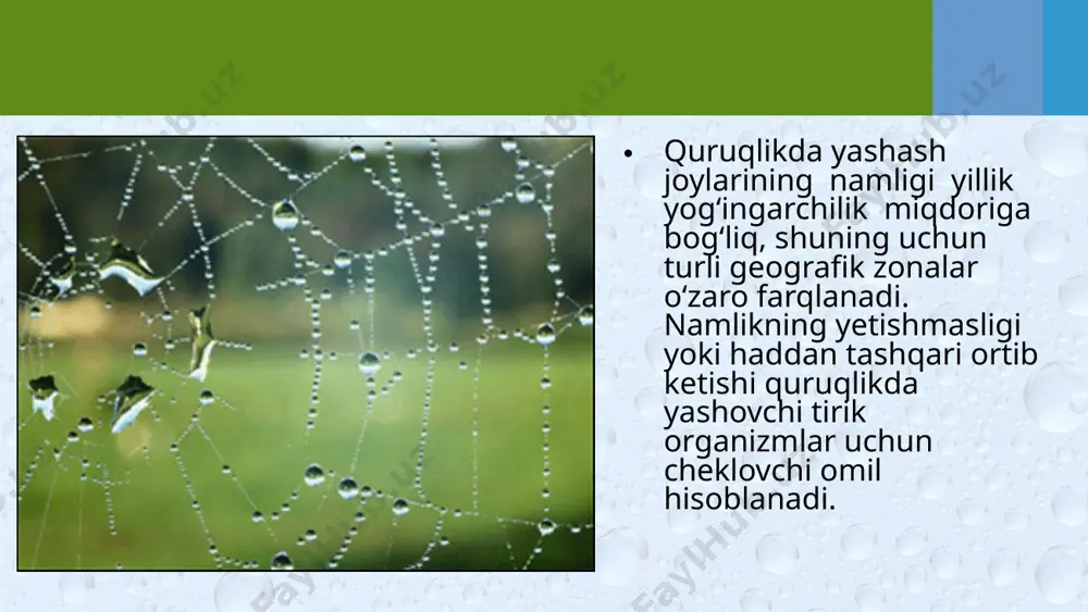 namlik ekologik omil sifatida. 11 - sinf - Page 4