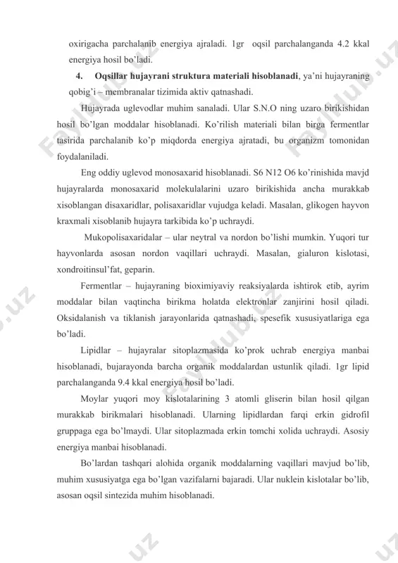 sosan oqsil sintezida muhim hisoblanadi. nukleien kislotalar birinchi marta yadrodan ajratib olingan (lot.nuclus – yadro demakdir). ular dnk va rnk larga bo’linadi. dnk yadroda, rnk yadrocha va sitoplazmada uchraydi. dnk molekulasi biri ikkinchisi atrofida uralagn spiralsimon 2ta ipchadan iborat. bunday iplar juda uzun bir necha mikron oqsilning eng katta molekulasidan 100 marta kattadir. dnkning ximiyaviy tuzilishi malum bo’lgan ximiyaviy birikmalarning birontasiga ham uxshamagan o’ziga xos kislota uotson va krikning (1953y) ta’kidlshicha, dnk molekulasi uzaro boglangan juda ko’p nukleinlardan tashkil topgan 2ta polinukleotid zanjiridan iborat. nukleotid 3ta molekula: 1. azotli asos (purin yoki pirimidin). 2. oddiy uglevod – pentozalar. 3. fosfat kislota qoldigining ximiyaviy yo’l bilan birikishidan hosil bo’ladi. nukleotidlar faqat azotli asoslari bilan farqlanadi. purin asoslariga – adenin va guanin, pirimidin asoslariga timin (urasil) va sitozin kiradi. uz tarkibida adenin saqlaydigan nukleotid adenin (a), guanin (g), timin (t) va sitozin (s) nukleotidlari deyiladi va ularni nomi bosh xarflari bilan ko’rsatiladi. …