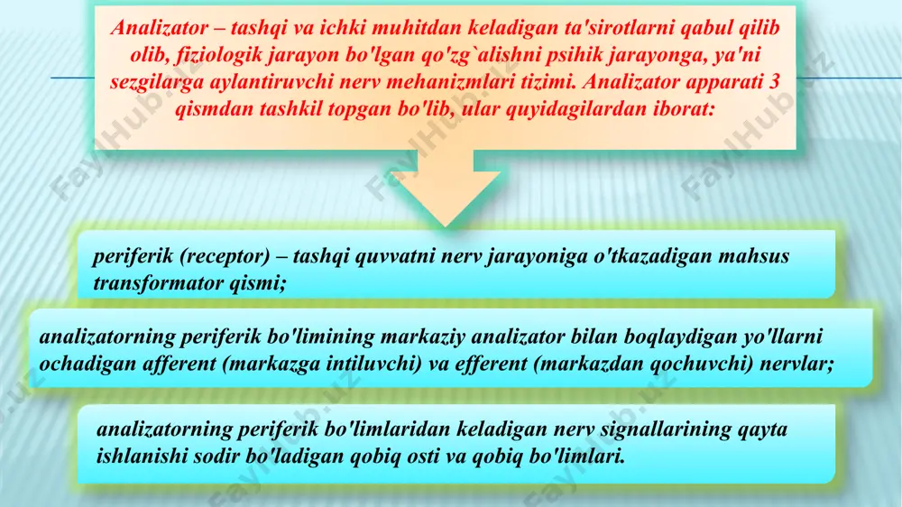 sezgi haqida tushuncha - Page 4