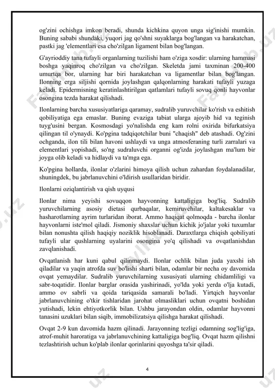 shlarida qishlashadi. jismoniy shaxslar yashash joyi sifatida kemiruvchilarning teshigini, pichanni, daraxt ildizlarini, yoriqlarni, yoriqlarni va boshqa joylarni tanlashlari mumkin. agar sudralib yuruvchilar odamlarning yonida bo'lsa, u holda ular podvallarda, kanalizatsiya tizimlarida, tashlab qo'yilgan quduqlarda yashirinadi. hayvonlarning qish uyqusi to'xtashi yoki umuman bo'lmasligi mumkin (agar sovuqqon tropik yoki subtropik iqlim sharoitida yashasa). aprel oyining boshlariga kelib, toshbo'ron otryad vakillari o'zlarining boshpanalaridan chiqib ketishni boshlaydilar. i .bob ilonlar anatomiyasi va fiziologiyasi. 1.ilon so’zi qadimgi inglizcha snaca so’zidan kelib chiqqan bo’lib, o’zi proto-germancha *snak-an- (qarang. german schnake ‘halqa ilon’, shved snoki ‘o’t ilon’), proto-hind-evropa ildizi *(s)nēg dan kelib chiqqan. -o- ‘emaklab o’rmalab ketish’, bu ham sanskritcha nāgá ‘ilon’ kabi yashirincha ma’no berdi. koʻchirilgan qoʻshimcha soʻzi, qoʻshimcha maʼnoda torayib ketdi, garchi eski ingliz tilida næddre ilon uchun umumiy soʻz boʻlgan. boshqa atama, ilon, frantsuz tilidan, oxir-oqibat hind-evropacha *serp- ‘o’rmalab ketmoq’ so’zidan kelib chiqqan bo’lib, qadimgi yunoncha ἕrπō (hérpō) ‘men sudralib yuraman’ so’zini ham bergan. …