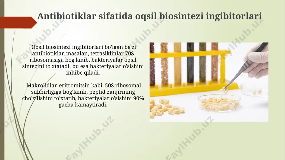 oqsil biosintezi ingibitorlari - Page 3