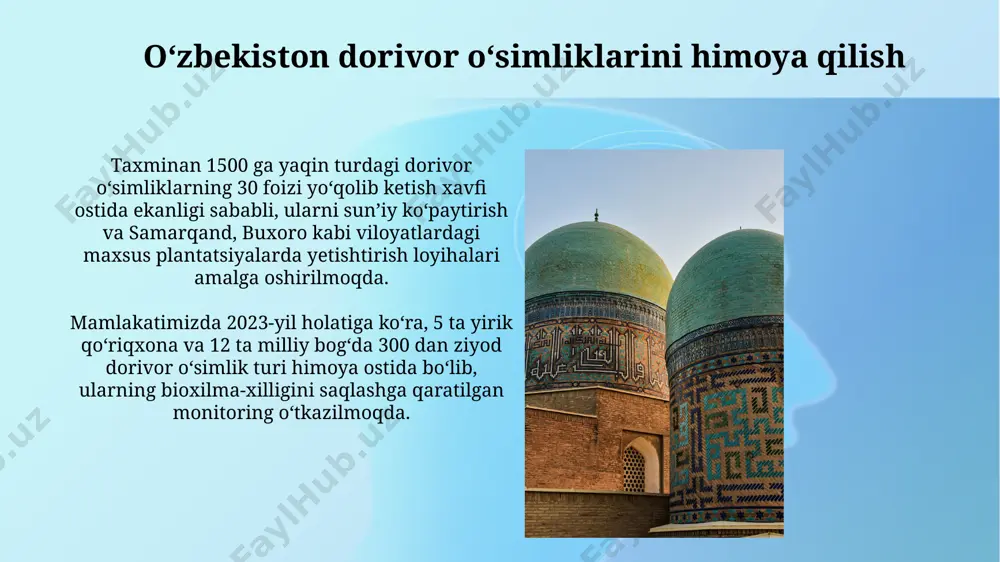 õzbekiston hududida tarqalgan dorivor õsimliklar - Page 4