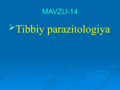 tibbiy parazitologiya 2 — PPTX