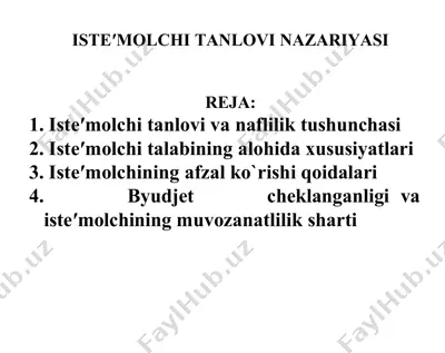 iste'molchi tanlovi nazariyasi — DOCX