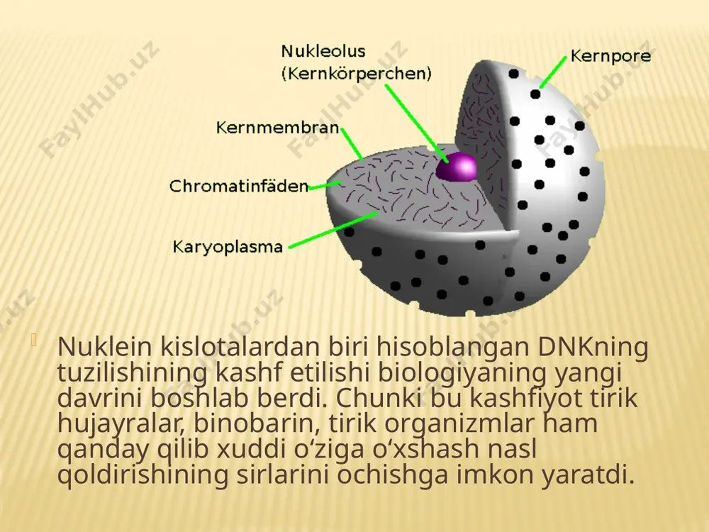 nuklein kislotalar. 9 - sinf - Page 4