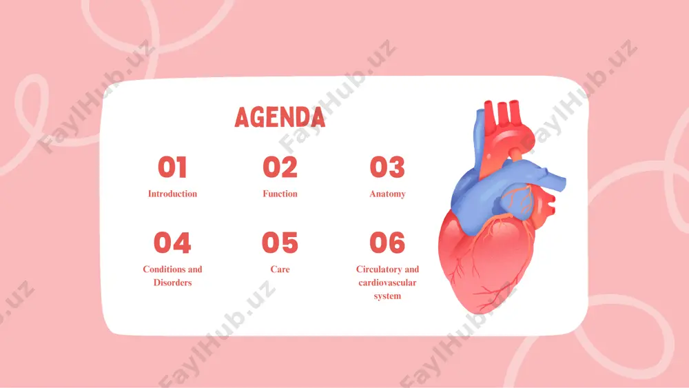onary circulation blood without oxygen comes into the right side of your heart and is sent to the lungs to get oxygen and get rid of carbon dioxide. then the oxygenated blood comes back through the left side of your heart. systemic circulation blood that has just gotten oxygen from the lungs and returned through your heart’s left side is pushed out to the rest of your body’s cells so they can receive oxygen and nutrients. the cycle starts again when blood without oxygen goes to the right side of your heart. organs and organ systems where is the cardiovascular system located? how big is the cardiovascular system? how much does your heart weigh? your heart is located in the middle of your chest. it connects to your blood vessels. they go everywhere throughout your body so they can get oxygen and nutrients to every part of your body. they …