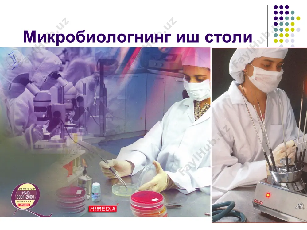 арид термостабил шу захоти таъсир қ-ди умумий таъсирга эга захари кучли эмас экзотоксинлар токсинлар б-ди: эндотоксинлар уларнинг фарқлари микроорганизмларни нур таратиши микроорганизмларни нур таратиши оксидланиш жараёнида ўзига хос энергия х/бўлишидир. нур таратувчи бак-ялар чиғаноқларнинг танасида учраса, эски тўнка ва дарахт илдизларида яшовчи замбуруғлар хам нур таратади. нур таратувчи бактериялар фотобак-ялар д-ди.одамларда касаллик к/ч патоген бак/ялар орасида фотоген бак-ялар аникланмаган. микрооргонизмларни нур таратиши агар бактерияга кўп кислород берилса, унинг нур таратиши кучлирок бўлади. кўпгина бактериялар 15-18 с да яхши ўсади ва нур таратади, айримлари 30-37 с ва 3 %ли натрий хлорид иштирокида хам нур таратади. хушбўй хид таркатувчи бактериялар микрооганизмларнинг айримлари хаёт фаолияти давомида хидли моддалар(сирка этил, сиркаамил эфир) ажратади. хушбўй хид таркатувчи бактерияларга леусоностос среморис киради. бактериянинг бу тури сут саноатида сариёғ, кефирларга хушбўй хид беради. микрооганизмлар халк хўжалигининг турли сохаларида энергия манбаи сифатида кўлланилади. ачиткининг махсус тури селексия килиниб, ундан саноатда этил спирти олина бошланди. микроблар ёрдамида гўнг, ўсимликлар …