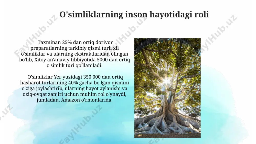 o'simliklarni inson va biosferada tutgan o'rni - Page 5